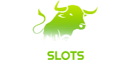 Raging Bull Logo