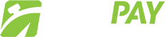 FastPay Casino Logo