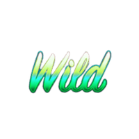 Wild Symbol